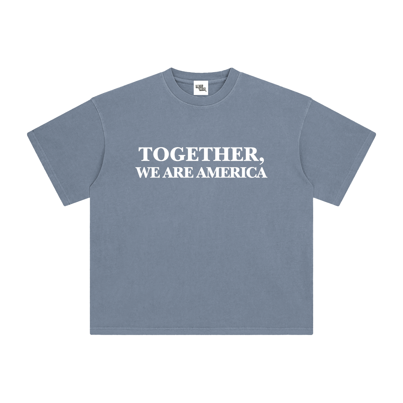 TOGETHER, WE ARE AMERICA - Washed T-Shirt