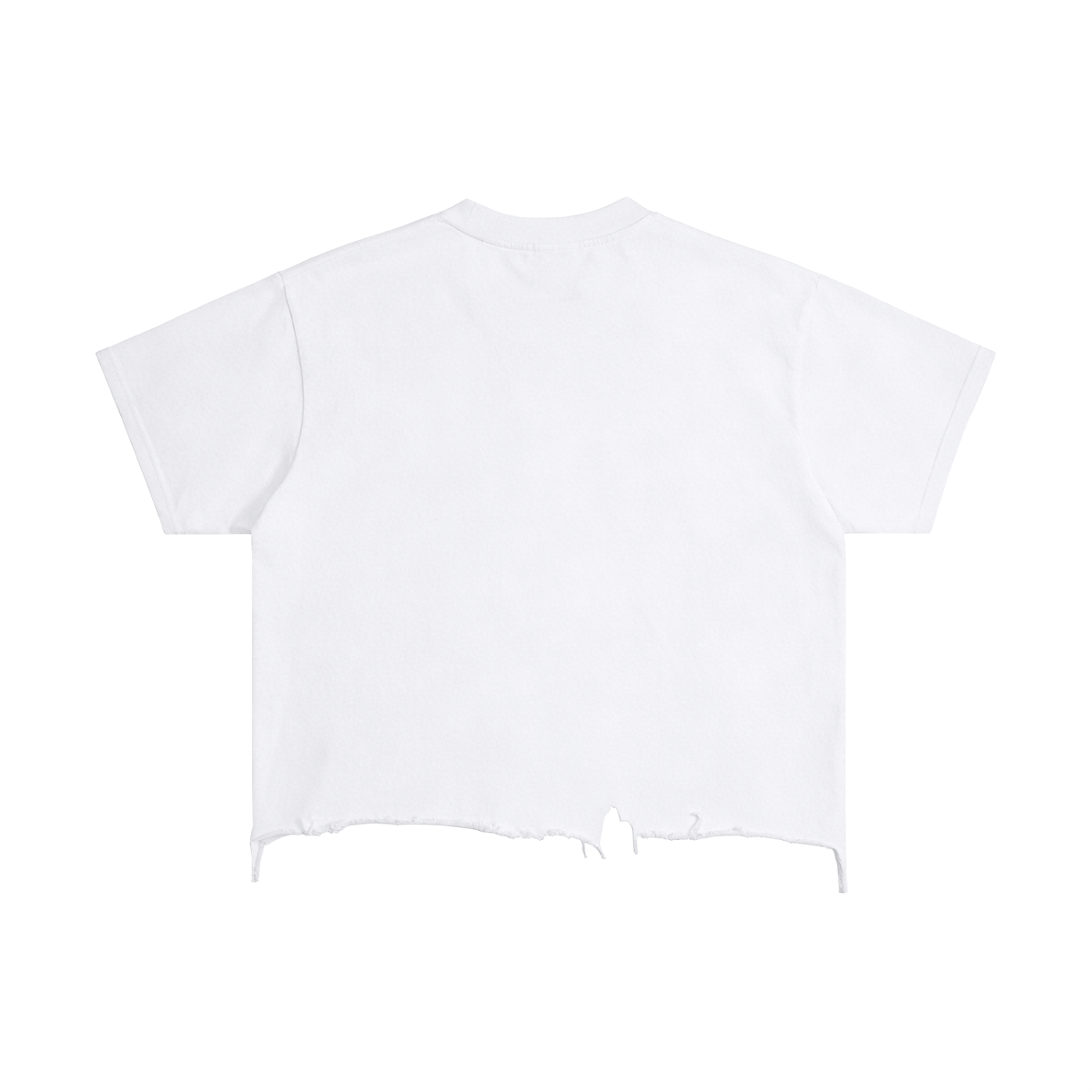 T-Shirt,Distressed T-Shirt,Concert Wear,Concert T-Shirt,Unisex,Mens Clothing,Womens Clothing,Spring Clothing,Street Wear,Everyday Wear