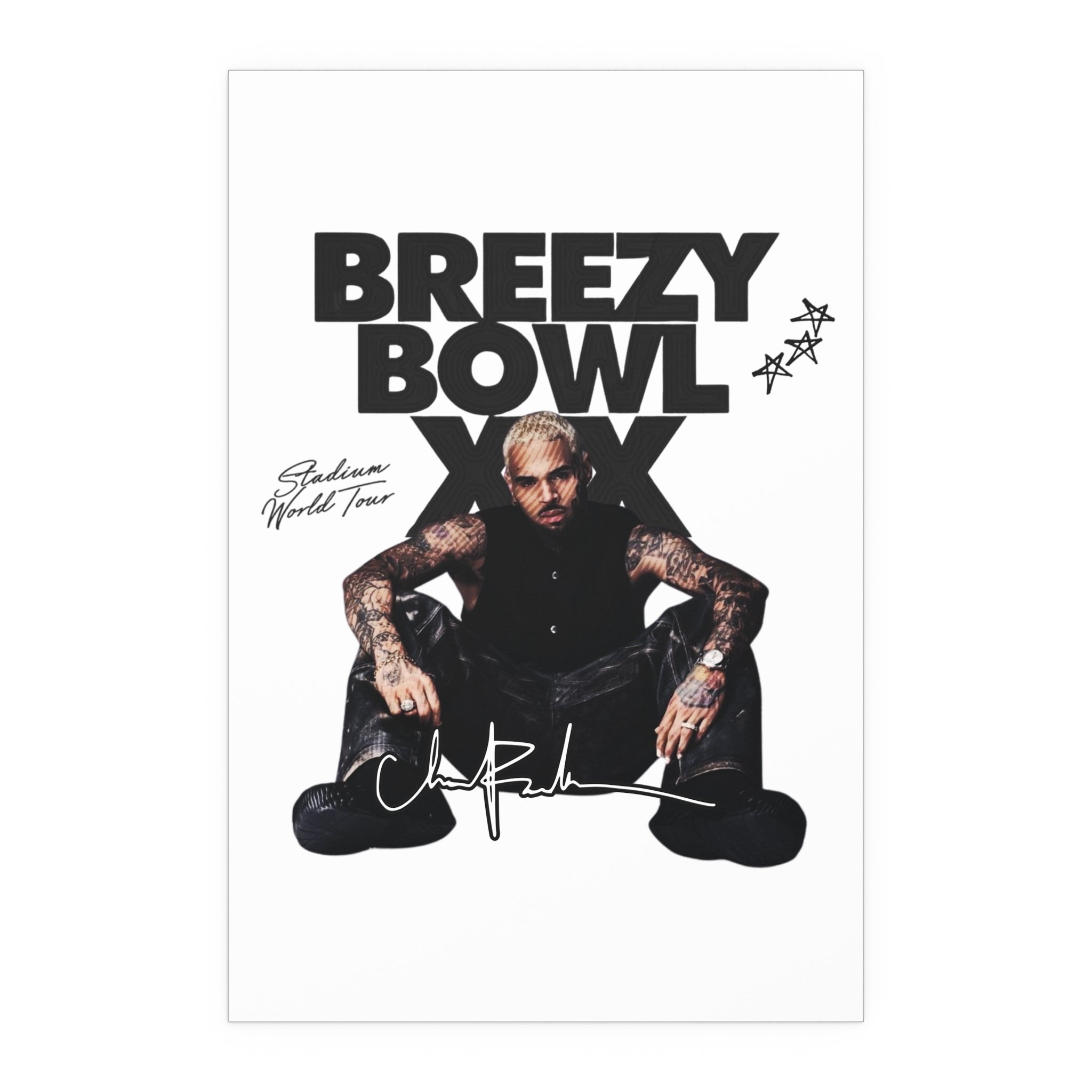 Breezy Bowl XX Tour Poster