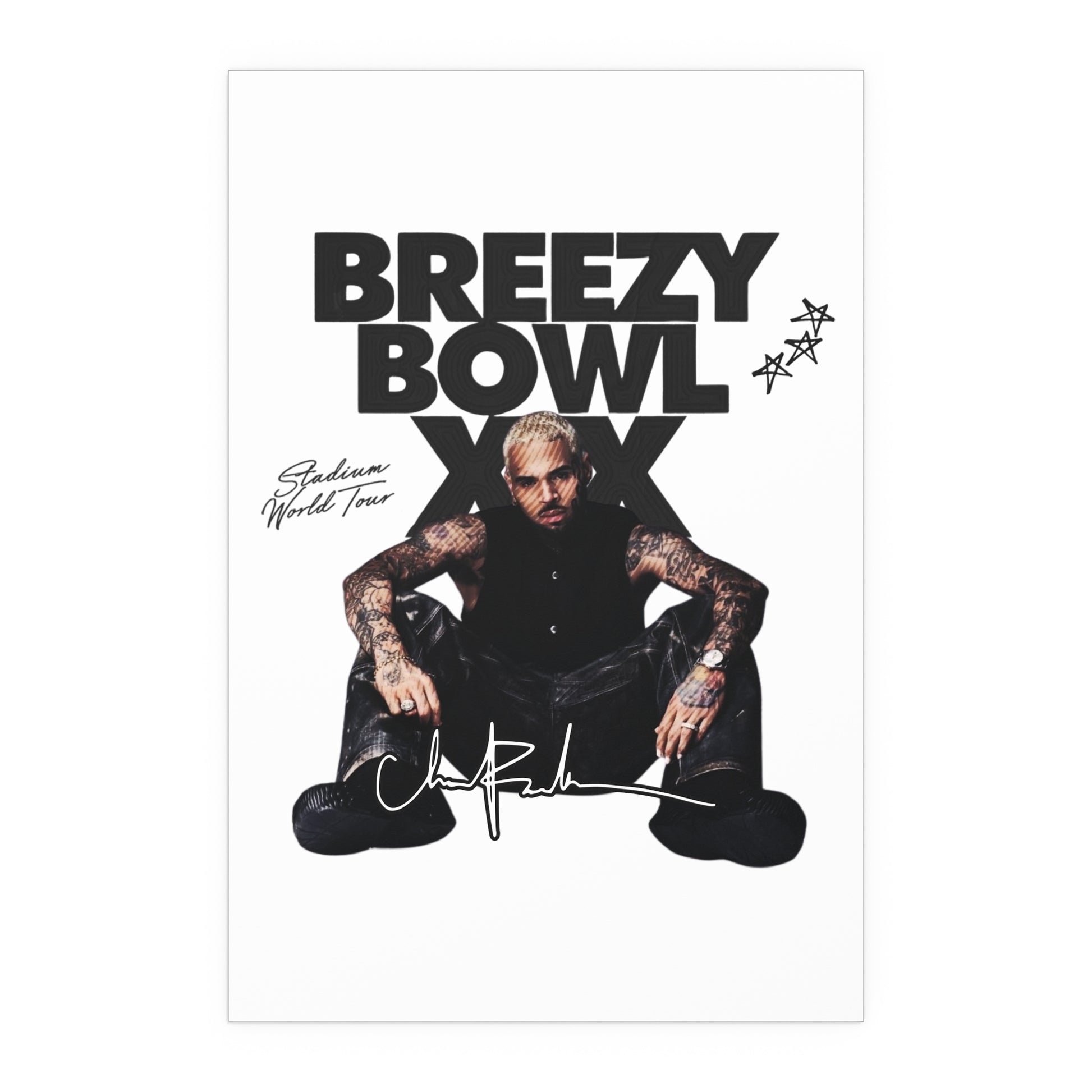 Breezy Bowl XX Tour Poster
