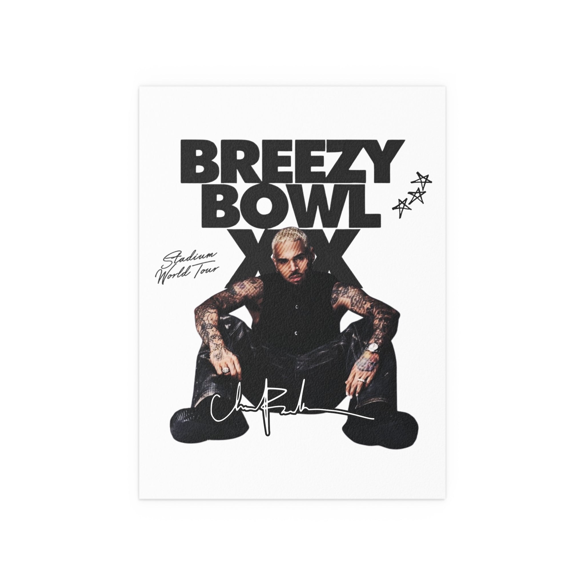 Breezy Bowl XX Tour Poster