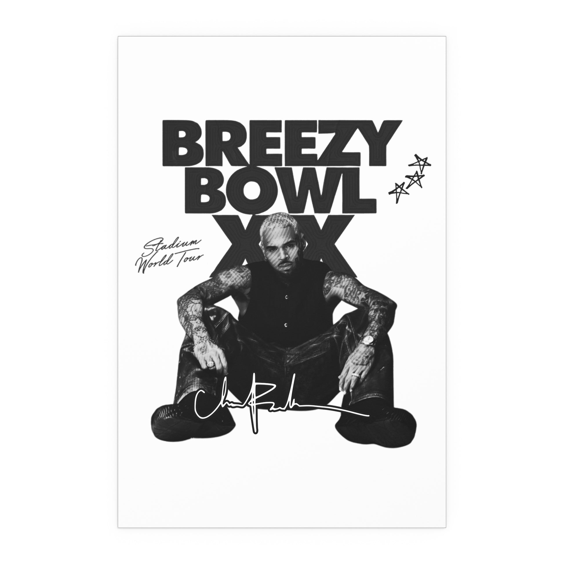 Breezy Bowl XX Tour Poster