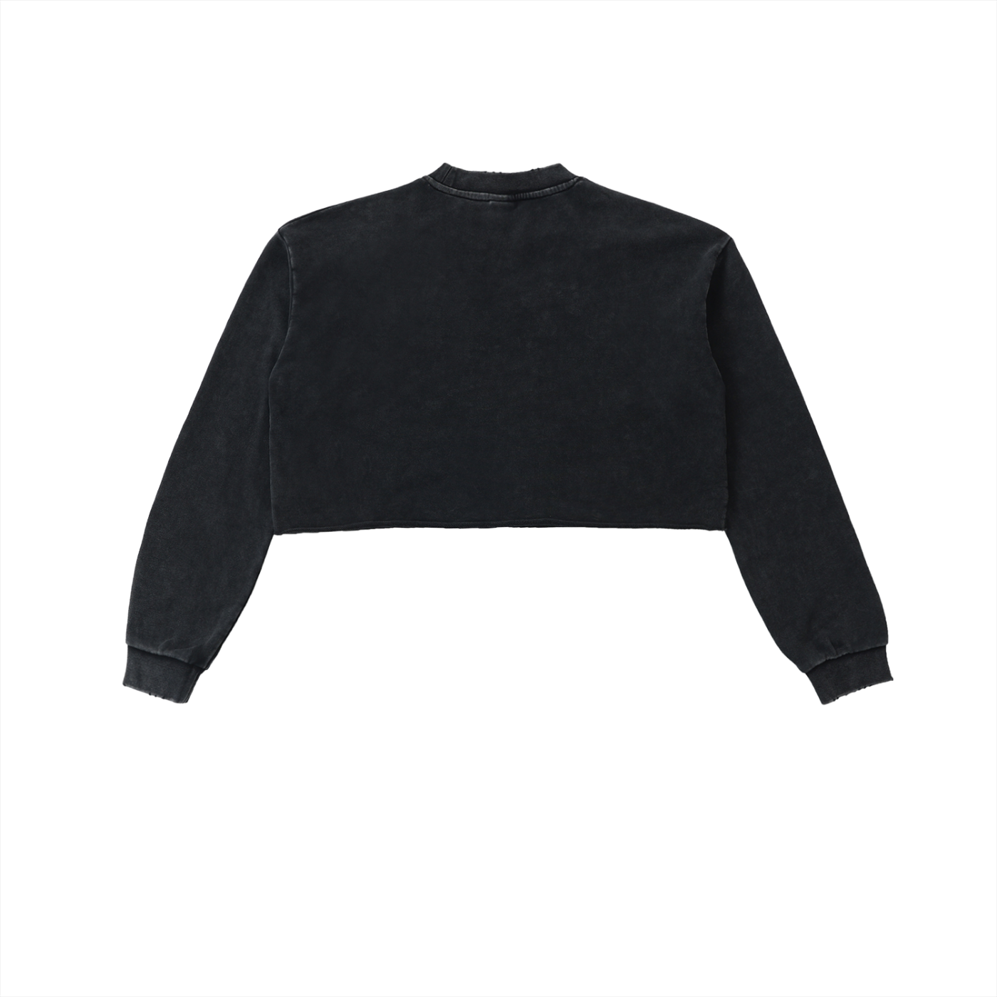 YB Inspired Cropped Sweatshirt