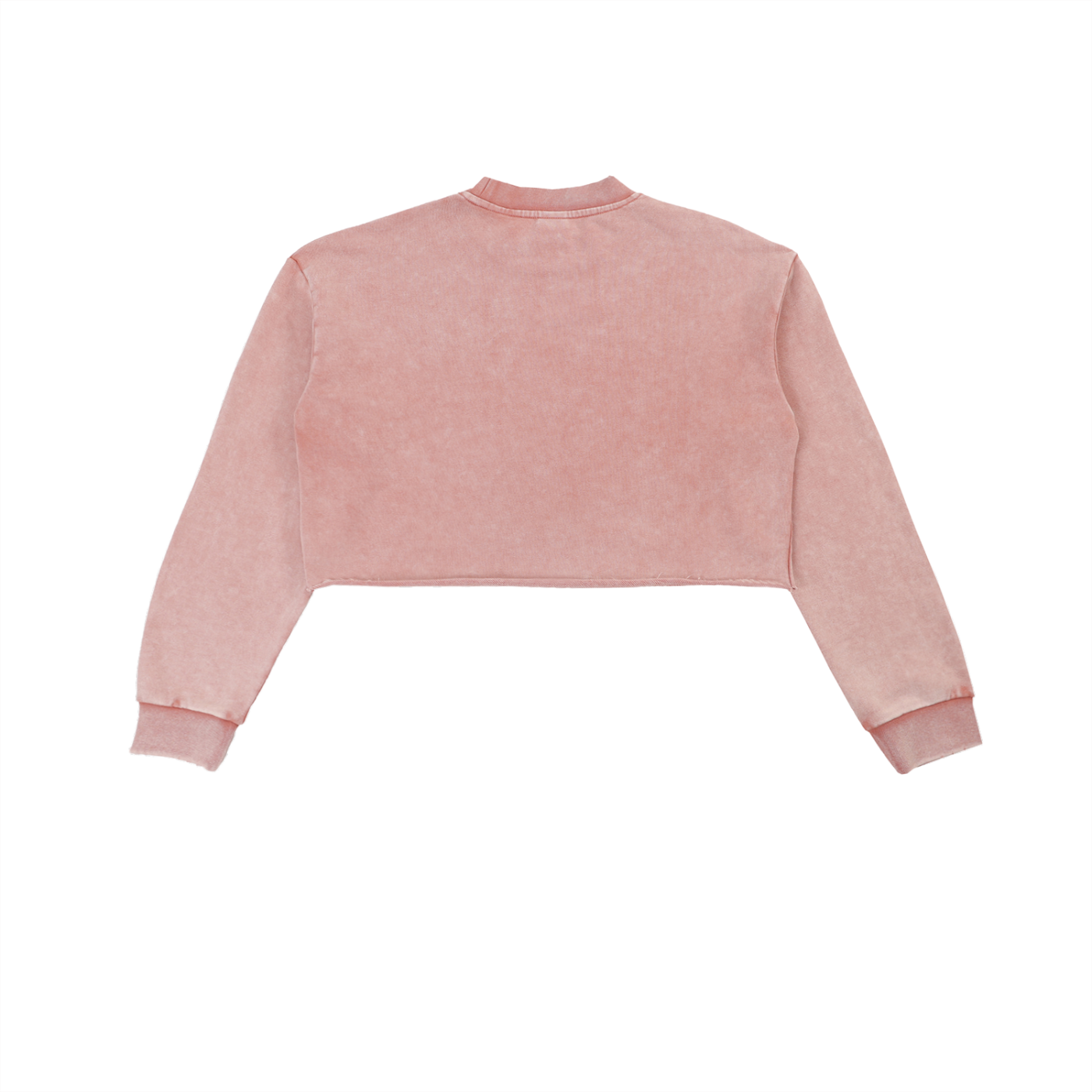 Bodega Baddie Carid Inspired Washed Cropped Sweatshirt