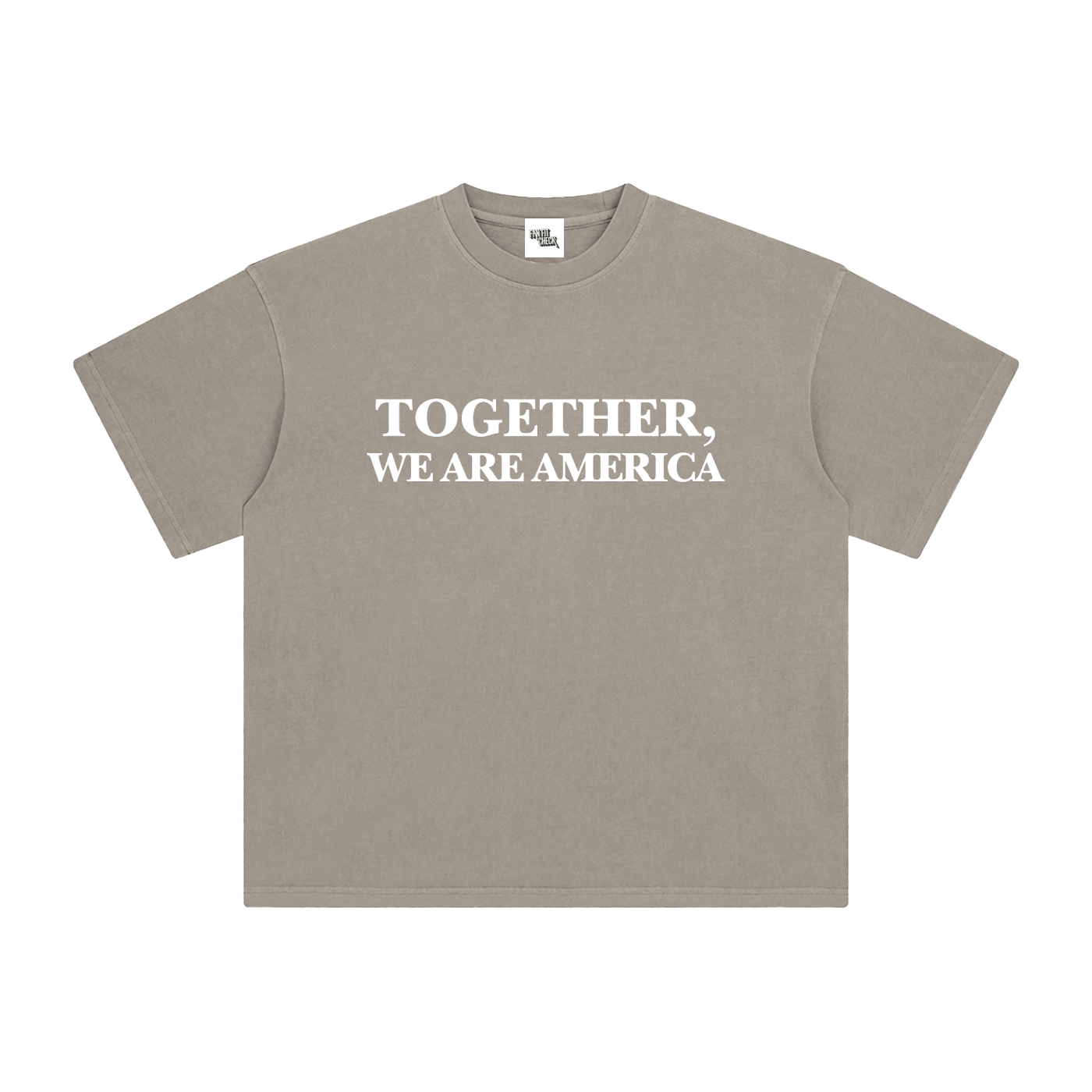 TOGETHER, WE ARE AMERICA - Washed T-Shirt