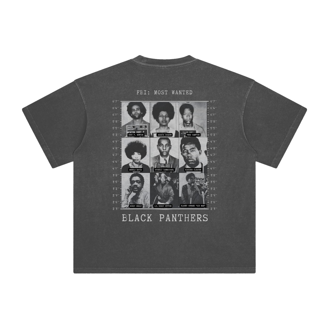 T-Shirt,Black Panthers,Street Wear,Everyday Wear,Black History,Unisex,Womens Apparel, Mens Apparel,Spring Wear,Summer Wear
