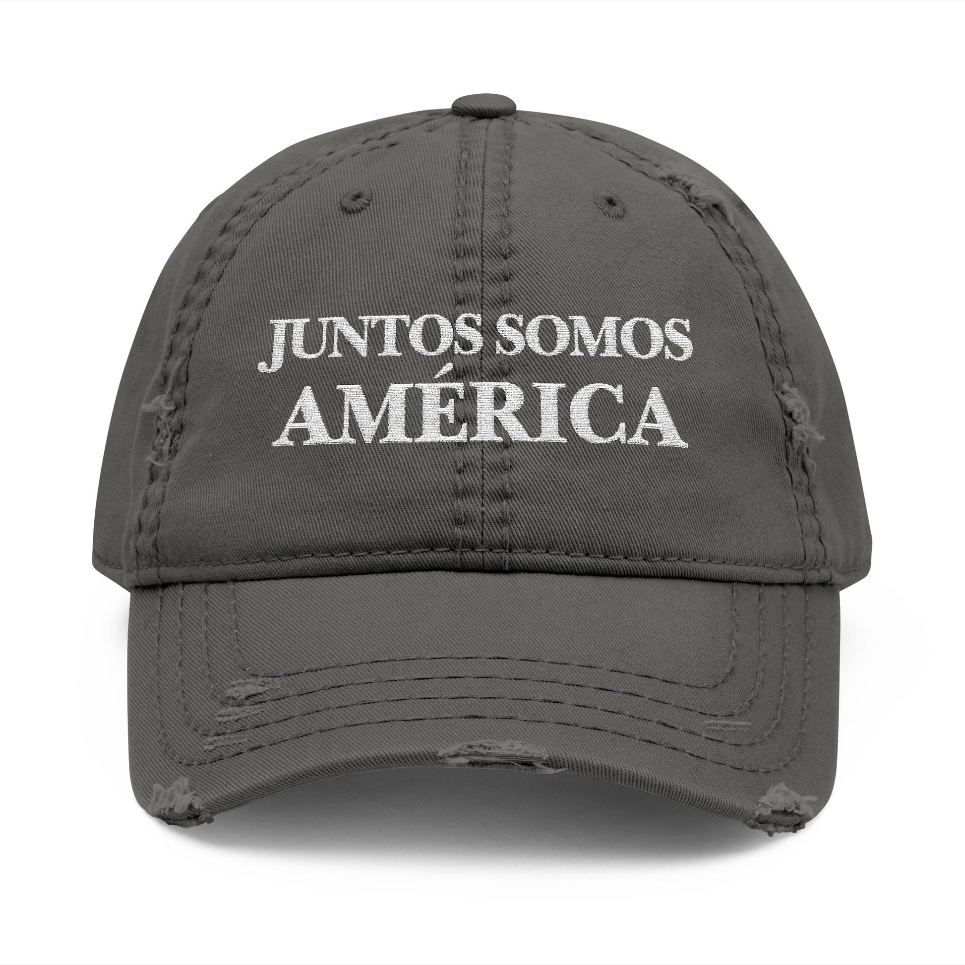LA NUEVA GORRA AMERICANA - Distressed Embroidered Dad Hat