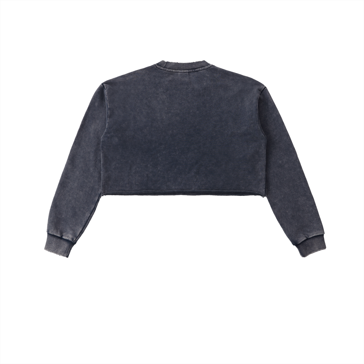 Crop top,Crop Sweatshirt,Sweatshirt,Concert Wear,Everyday Wear,Street Wear,Womens Wear,Womens Clothing,Casual Wear,Gift For Her
