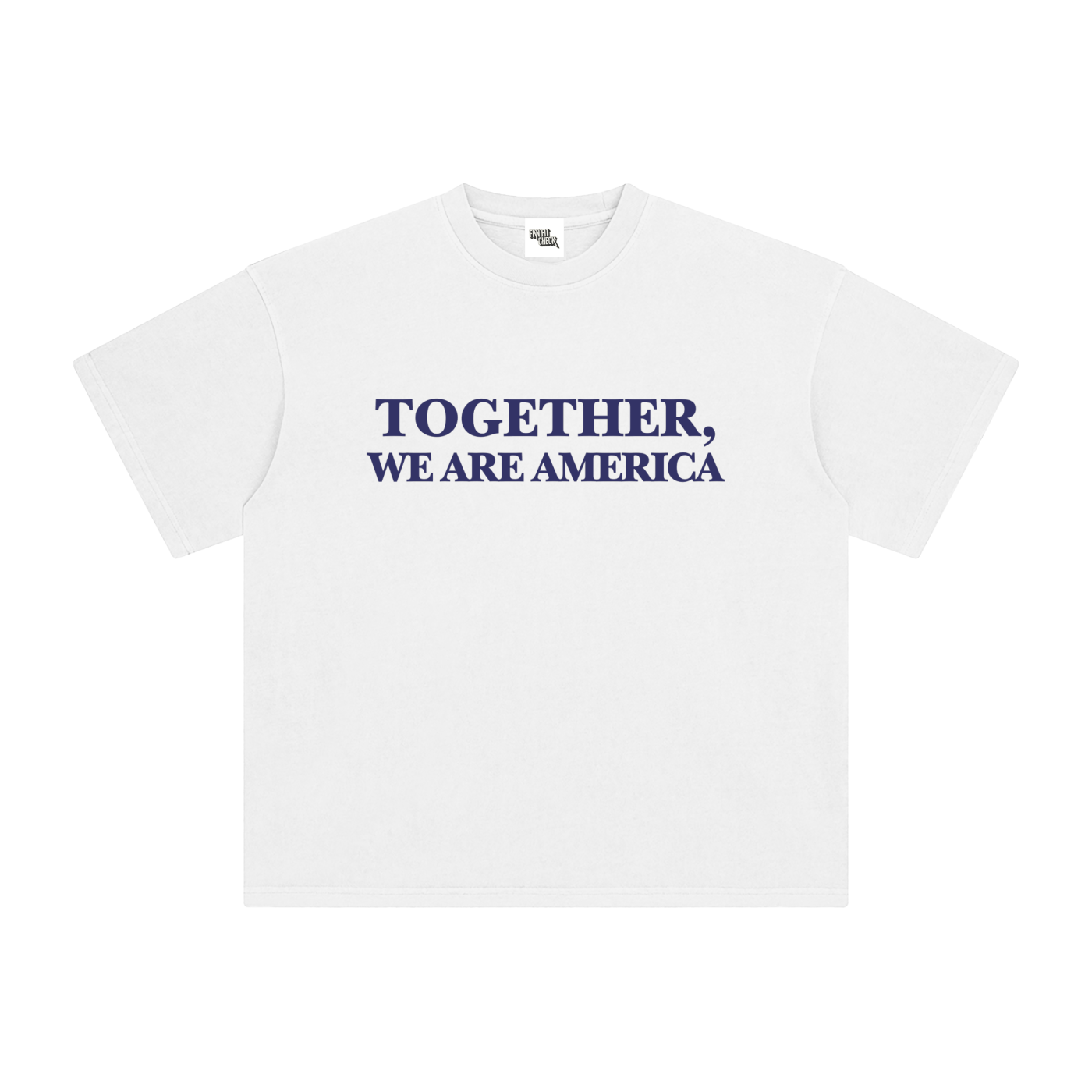 THE AMERICAN FLAGS - Washed T-Shirt