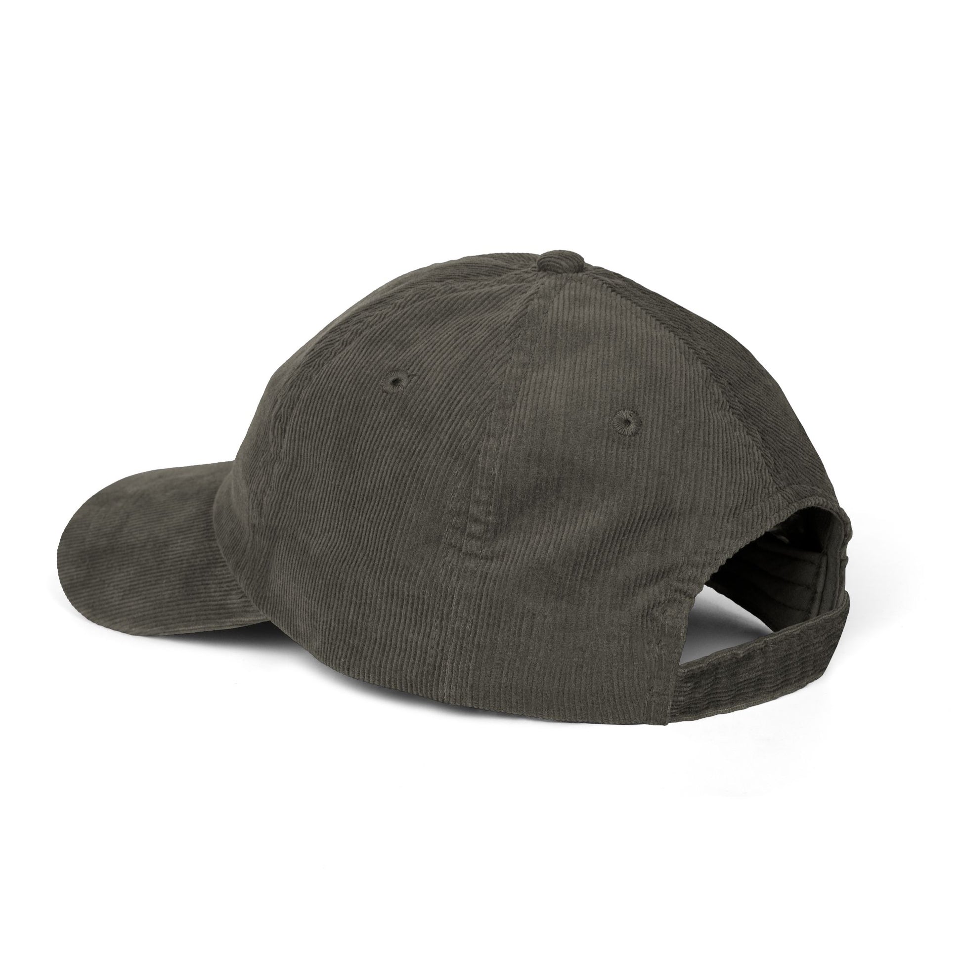 The Revolution Will Not Be Texturized Embroidered Vintage Corduroy Cap