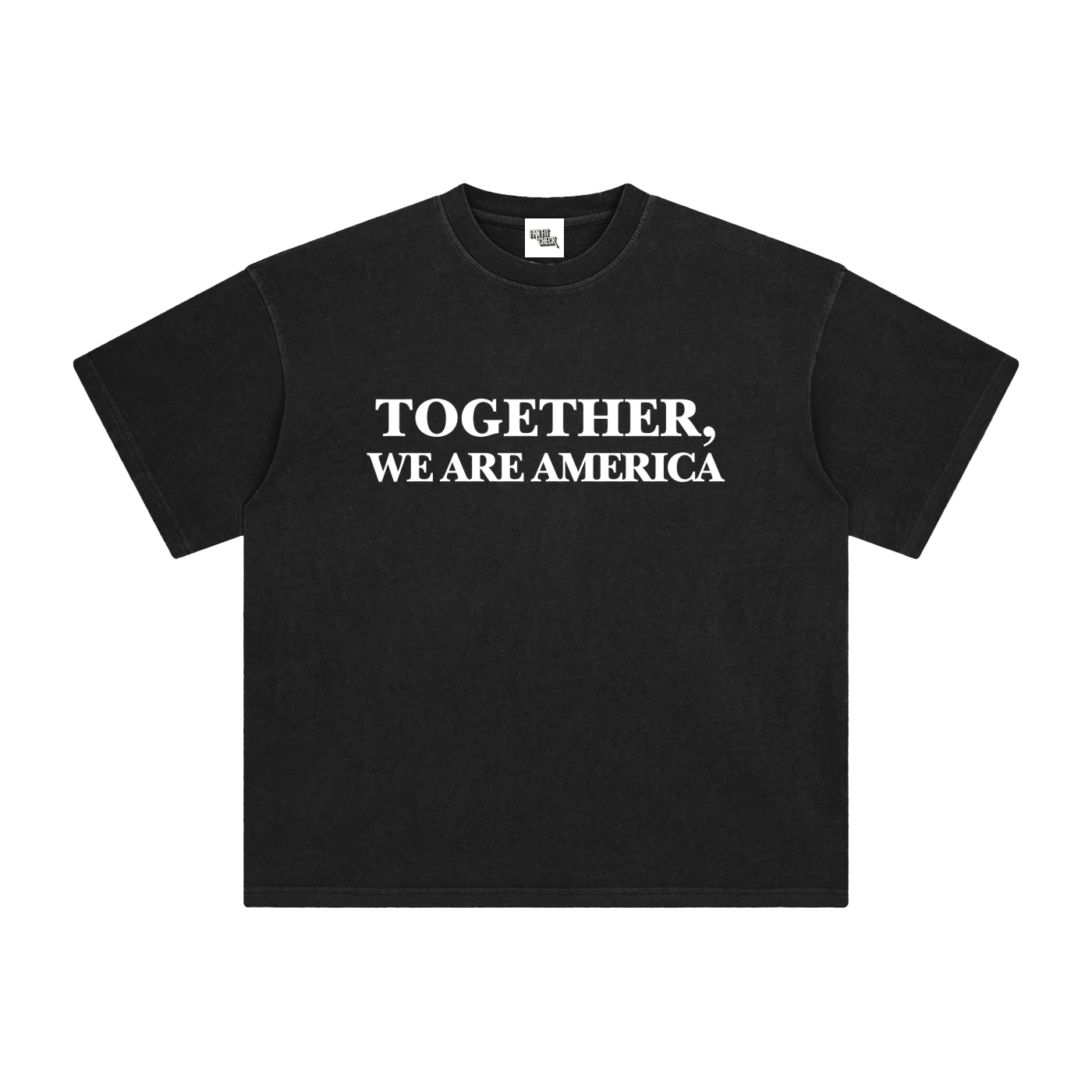 TOGETHER, WE ARE AMERICA - Washed T-Shirt