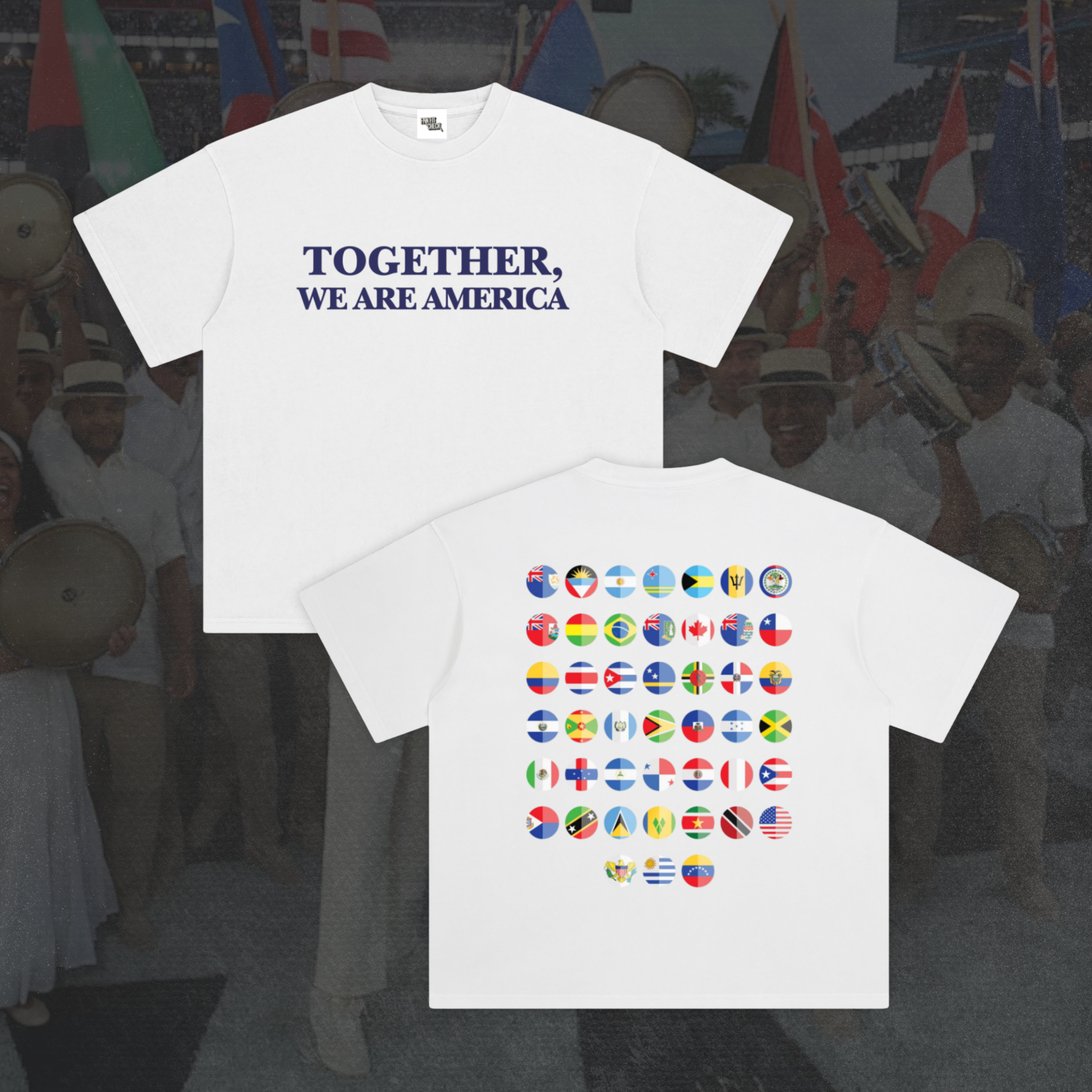 THE AMERICAN FLAGS - Washed T-Shirt