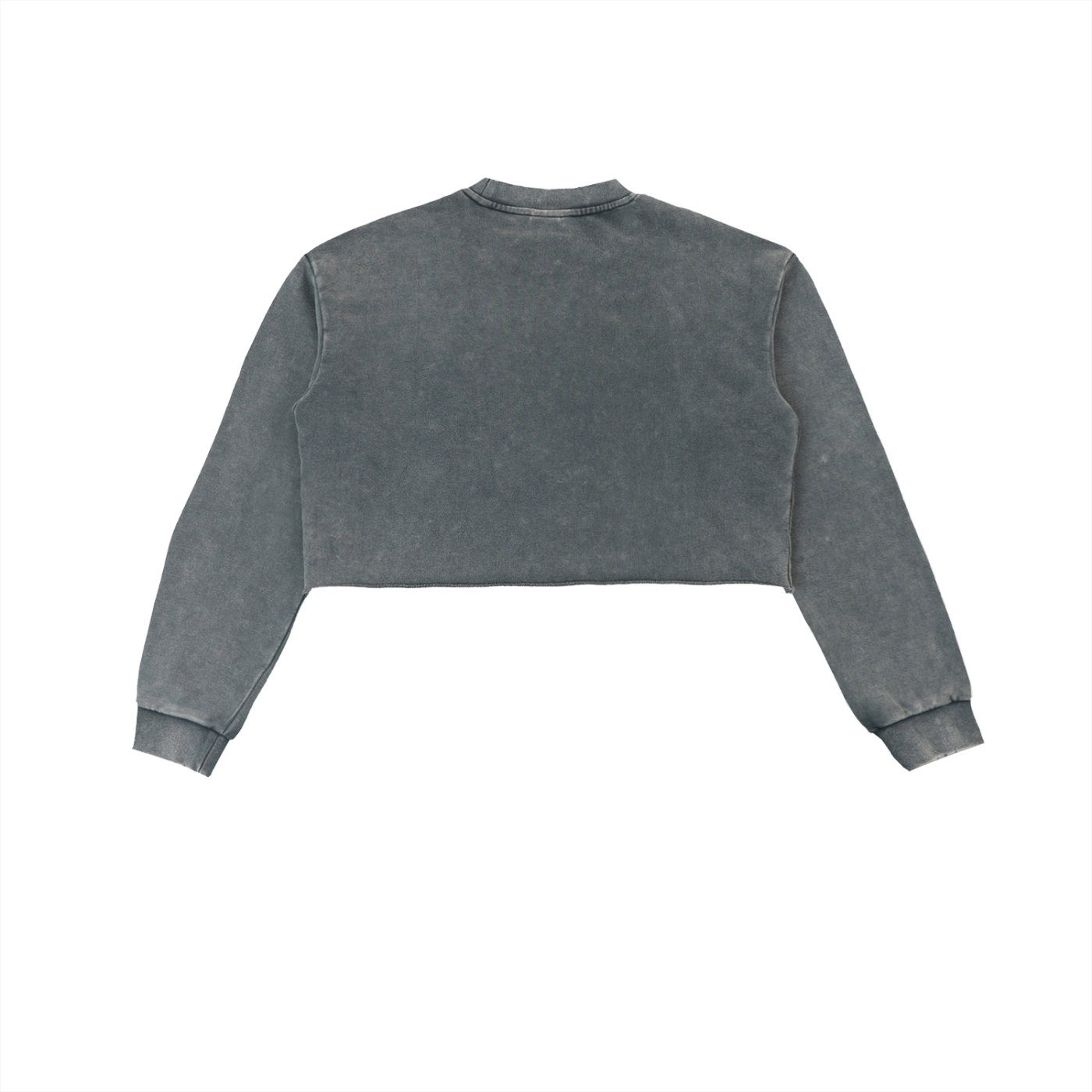 Cropped Sweatshirt,Sexy,Breezy,Fall Wear,Winter Wear,Team Breezy ,Holiday Wear,Christmas Wear,Long Sleeve,Concert Wear