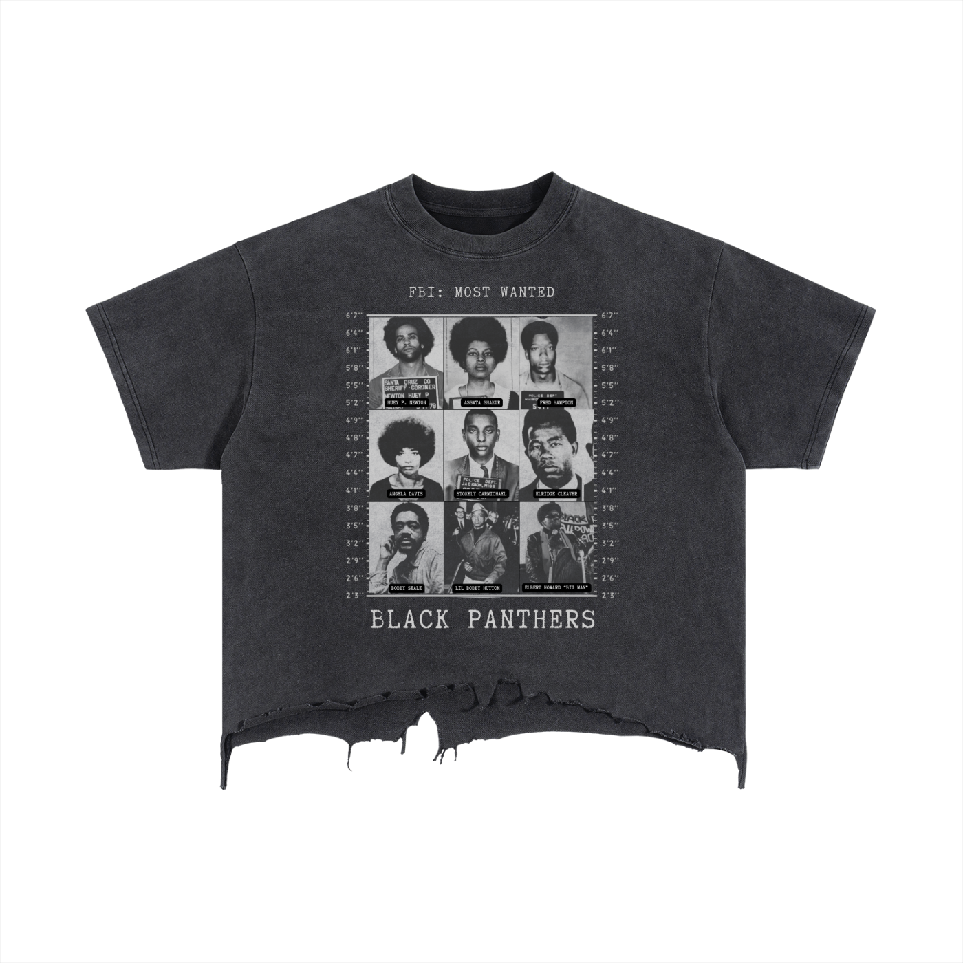 T-Shirt,Distressed,Black History,Black Panthers,Street Wear,Casual Wear,Everyday Wear,Unisex,Womens Apparel,Men Apparel