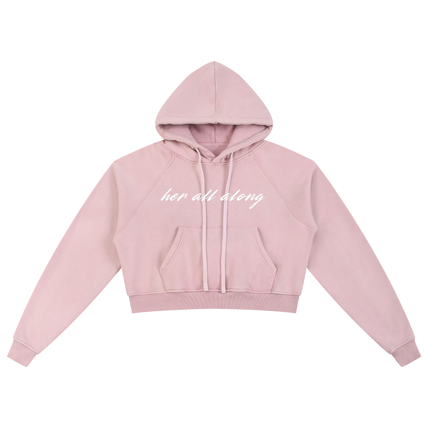 Gunna Inspired Her All Along Washed Cropped Hoodie