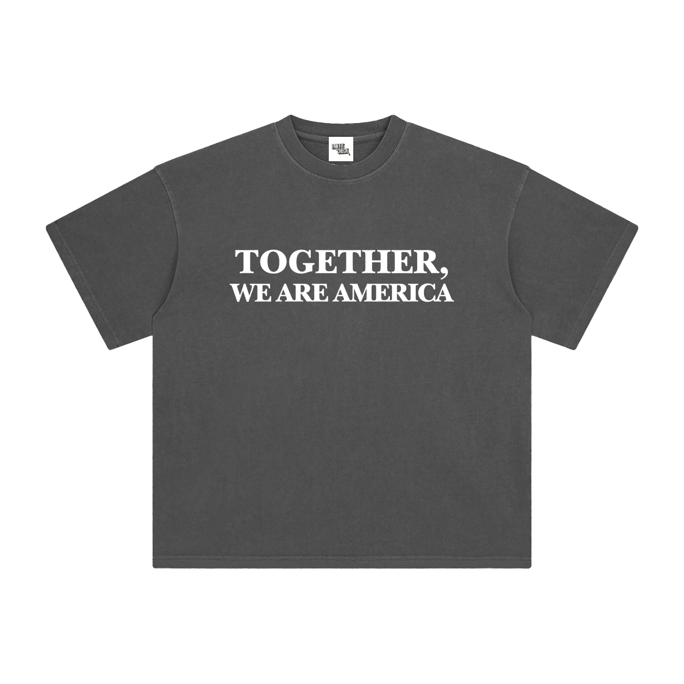 TOGETHER, WE ARE AMERICA - Washed T-Shirt