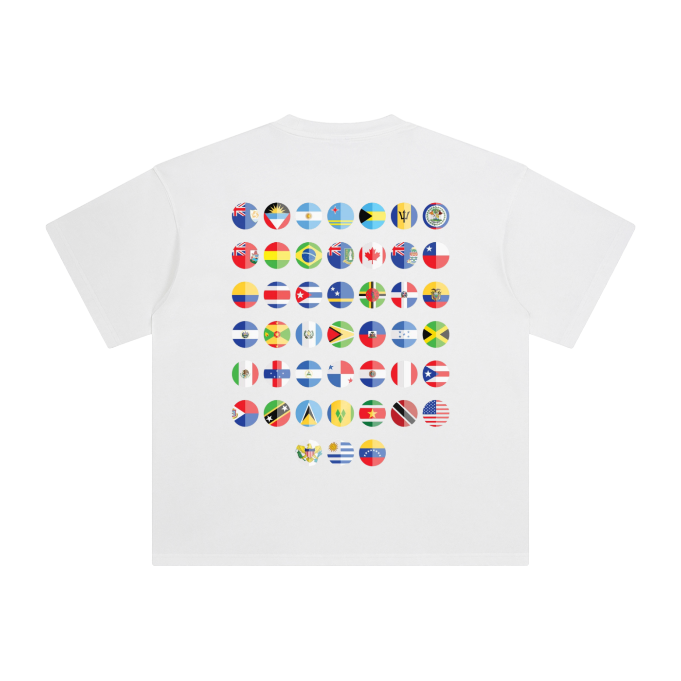 THE AMERICAN FLAGS - Washed T-Shirt