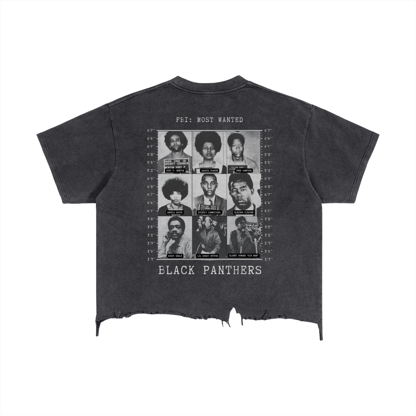 Street Wear,Black History ,T-Shirt,Distressed,Unisex,Casual Wear,Spring Wear,Clothing Top,Summer Wear,Black Panthers