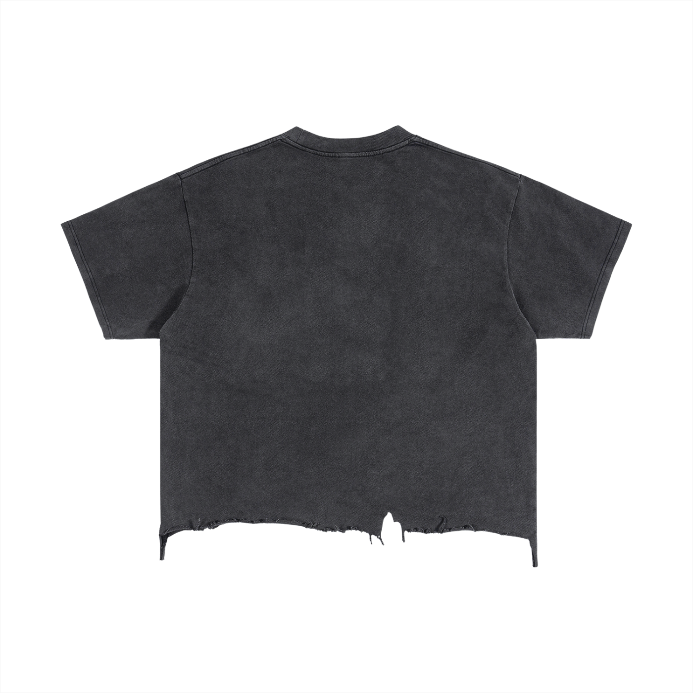 T-Shirt,Distressed,Black History,Black Panthers,Street Wear,Casual Wear,Everyday Wear,Unisex,Womens Apparel,Men Apparel