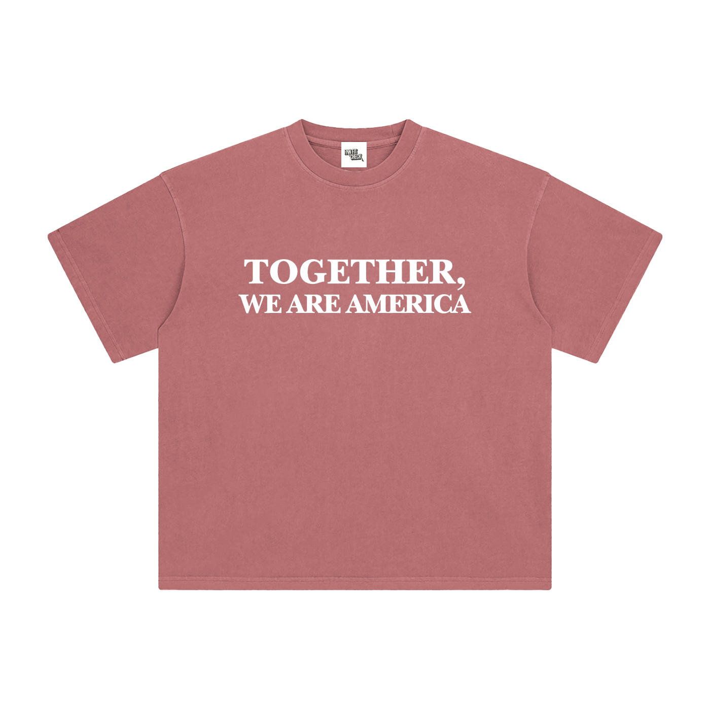 TOGETHER, WE ARE AMERICA - Washed T-Shirt