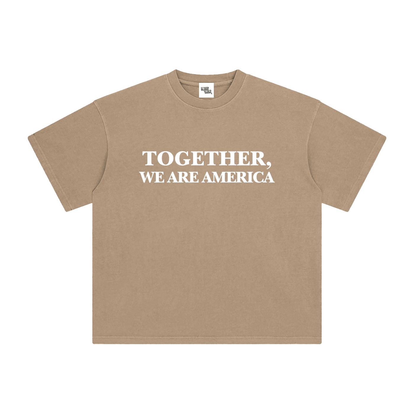 TOGETHER, WE ARE AMERICA - Washed T-Shirt