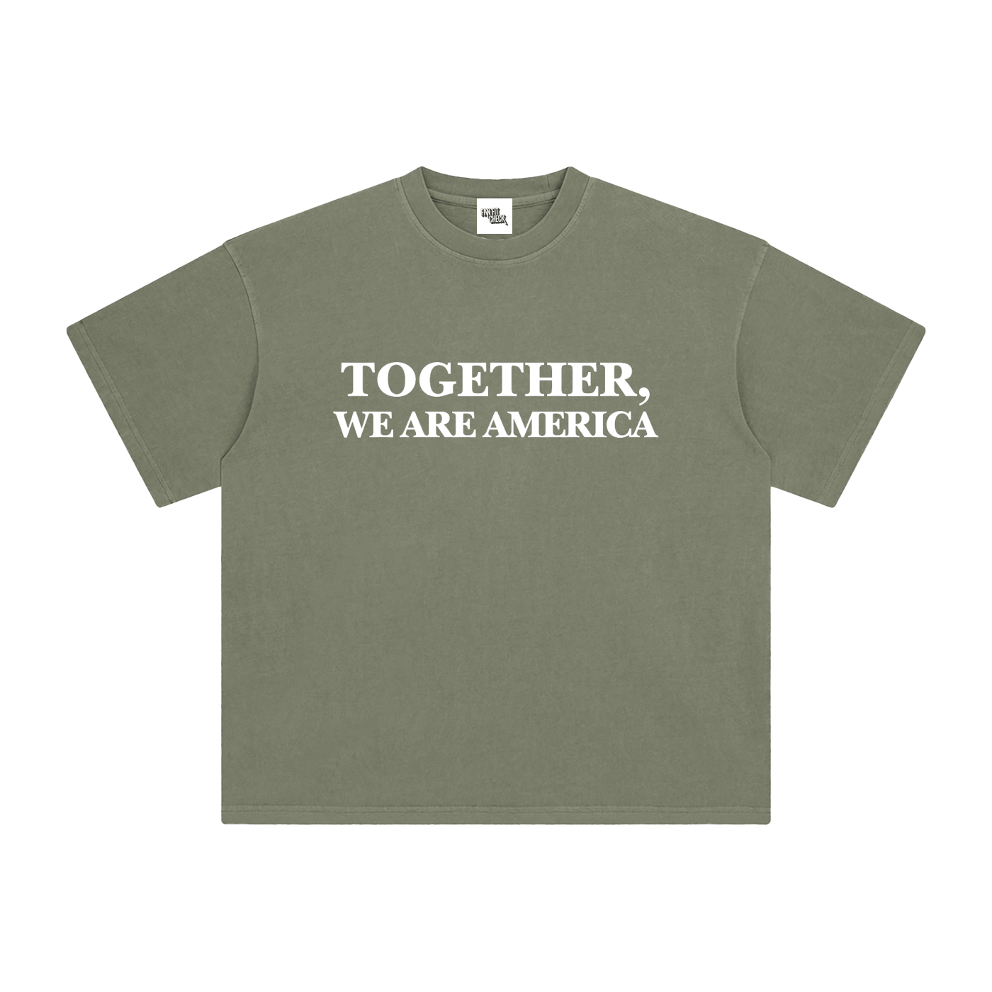 TOGETHER, WE ARE AMERICA - Washed T-Shirt