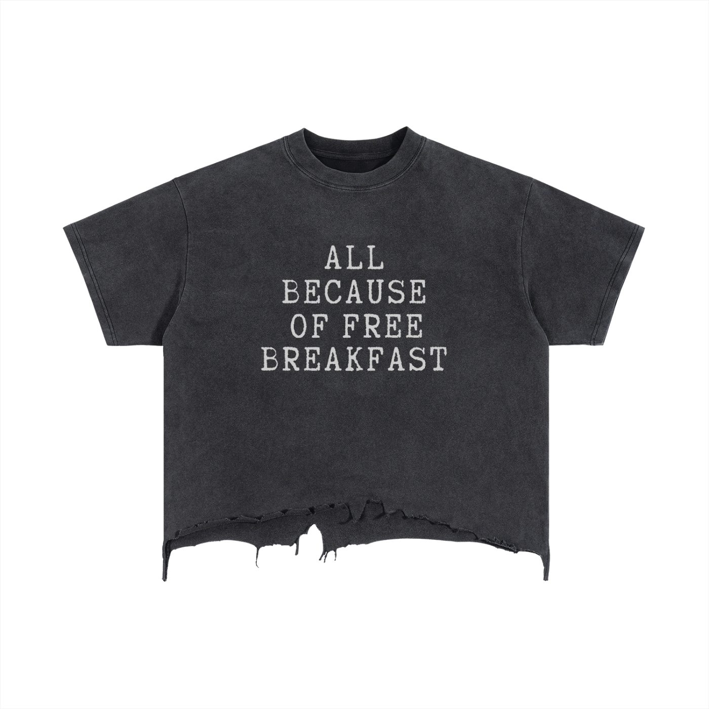 Street Wear,Black History ,T-Shirt,Distressed,Unisex,Casual Wear,Spring Wear,Clothing Top,Summer Wear,Black Panthers